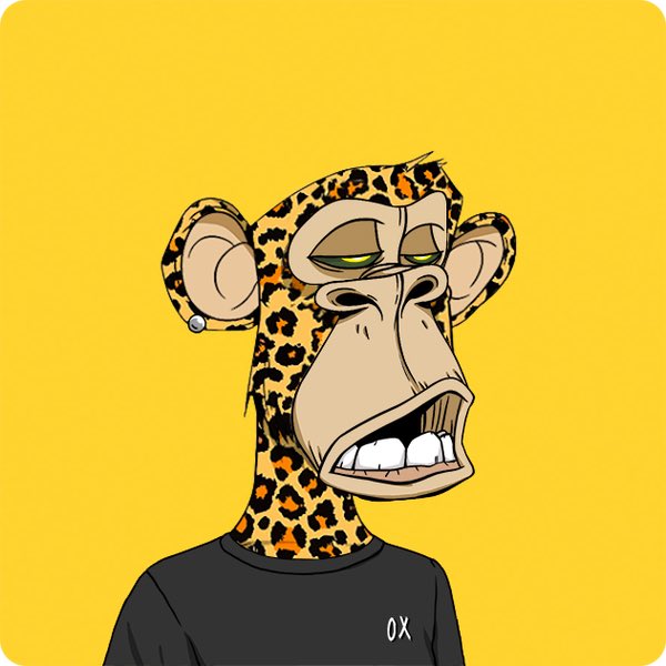 Steveohh.eth tweet media