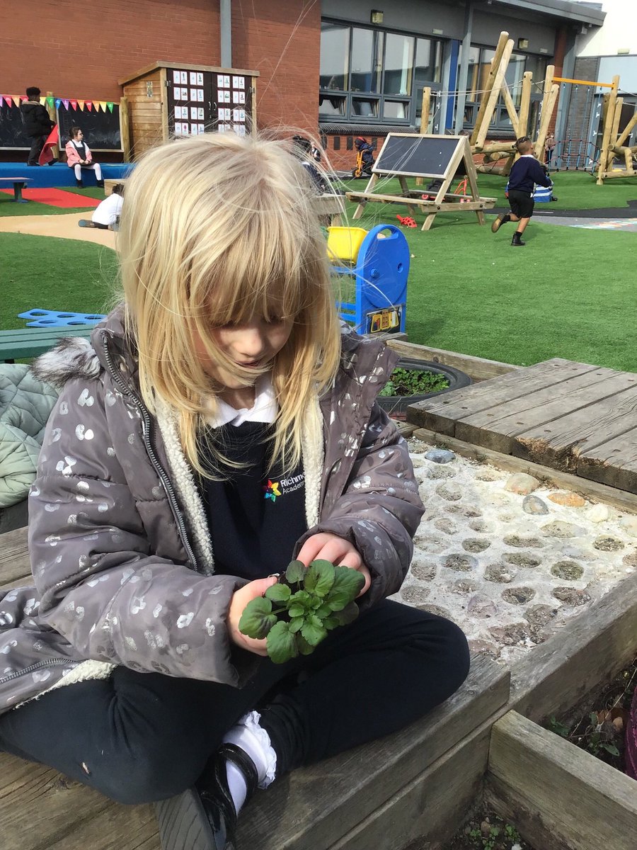RHALeeds_EY's tweet photo. Planting and Growing has been a fantastic topic this term 🪴 🌱  we have learnt so many new vocabulary words and can act out the process of how plants grow. We can’t wait to see our sunflowers 🌻 develop next half term! https://t.co/iJ8YawurNT