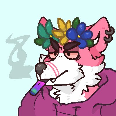 WEALTHYWOLVESS's tweet photo. FIRST 100 DISCORD MEMBERS GET WHITELIST AND‼️‼️‼️ A CHANCE OF WINNING A CUSTOM 1/1 NFT OF THEMSELVES????? #cryptofurry MADNESS!! WHAT OTHER PROJECT OFFERS THAT ??!?! VISIT OUR WEBSITE IN BIO https://t.co/npxxdfatSJ