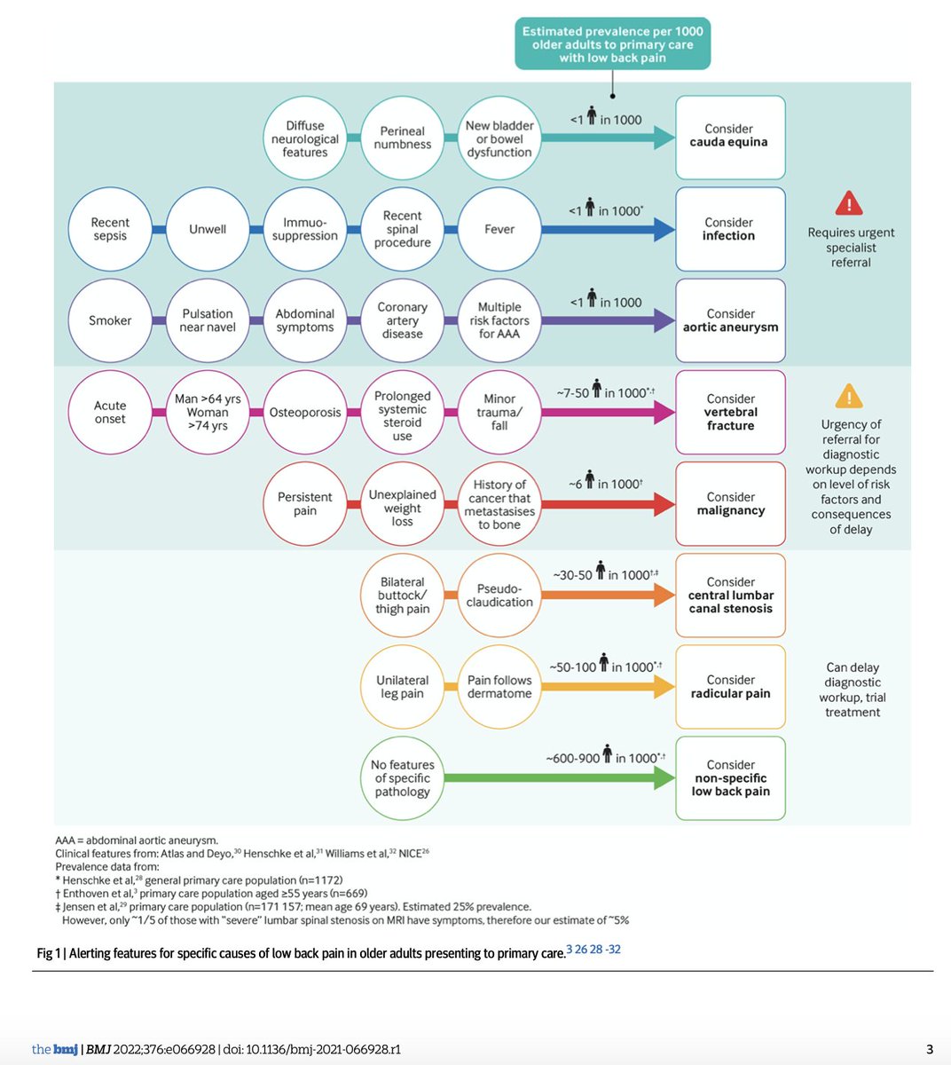 adrian_traeger's tweet image. Out today in @bmj_latest:
Low back pain in people aged 60 years and over
We collected the best available evidence on primary care management of #backpain in older people and wrote this practice article for clinicians. Hopefully it is useful
bmj.com/content/376/bm…