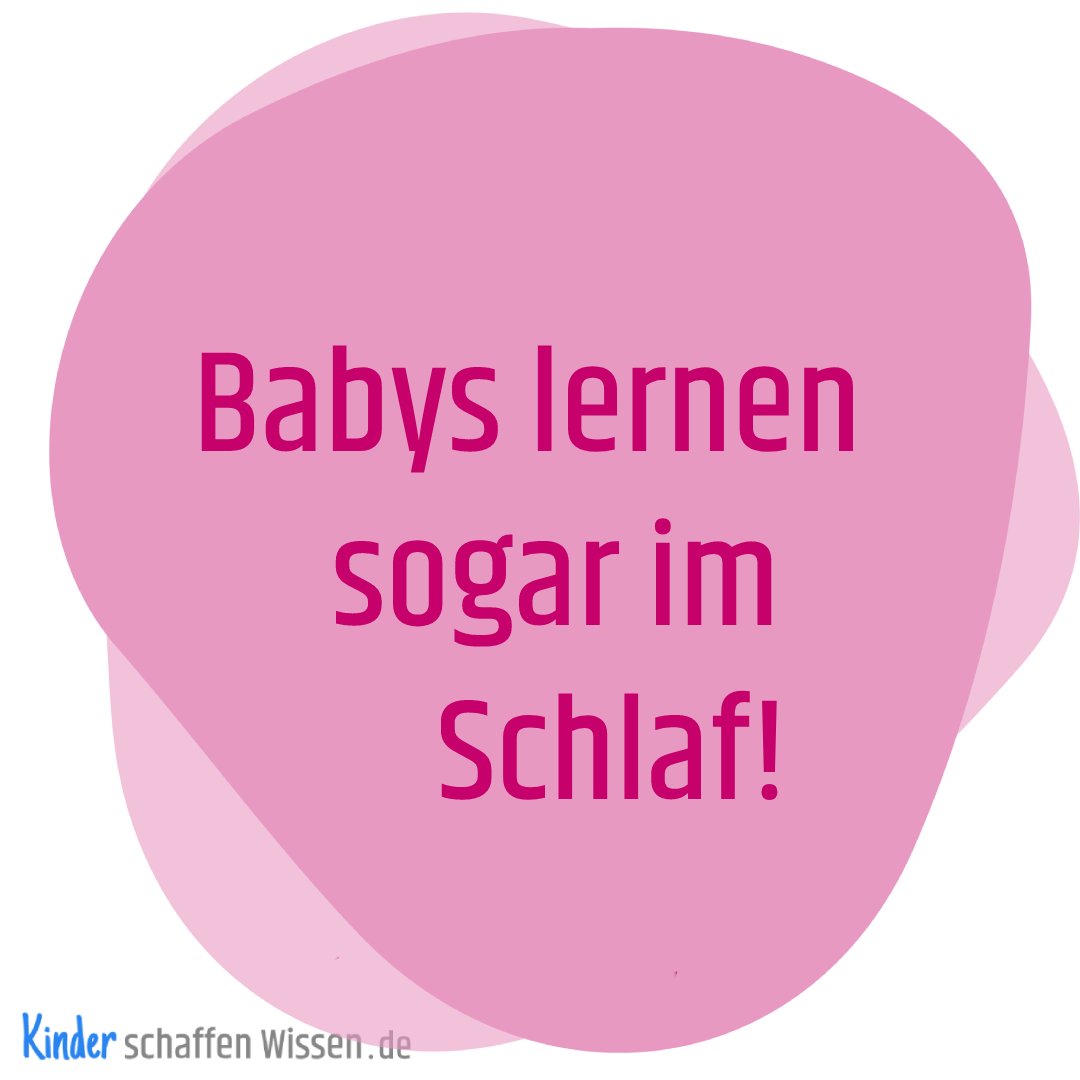 Babys lernen sogar im Schlaf!
Schlaf hilft neue Informationen besser zu erinnern. Dies gilt nicht nur für uns Erwachsene, sondern auch für Babys. Schon ein kurzes Schläfchen hilft den Kleinen gerade Gelerntes besser zu behalten. Und nicht nur das...
