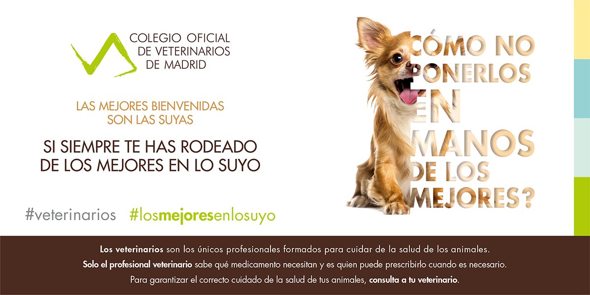HCVeterinarioUCM tweet media