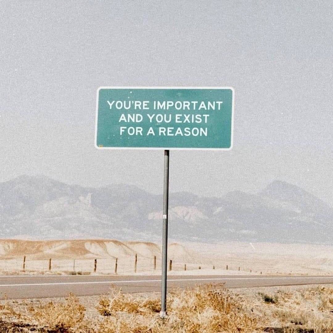 Community Spirit tweet media