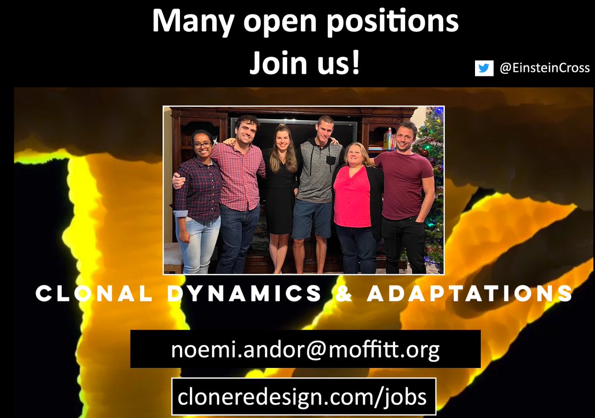 EinsteinCross's tweet photo. #crdlab is expanding! 3 open postdoc positions in experimental, mathematical and computational oncology: https://t.co/tVwFSqyTG4 https://t.co/VXPFKzB3hj