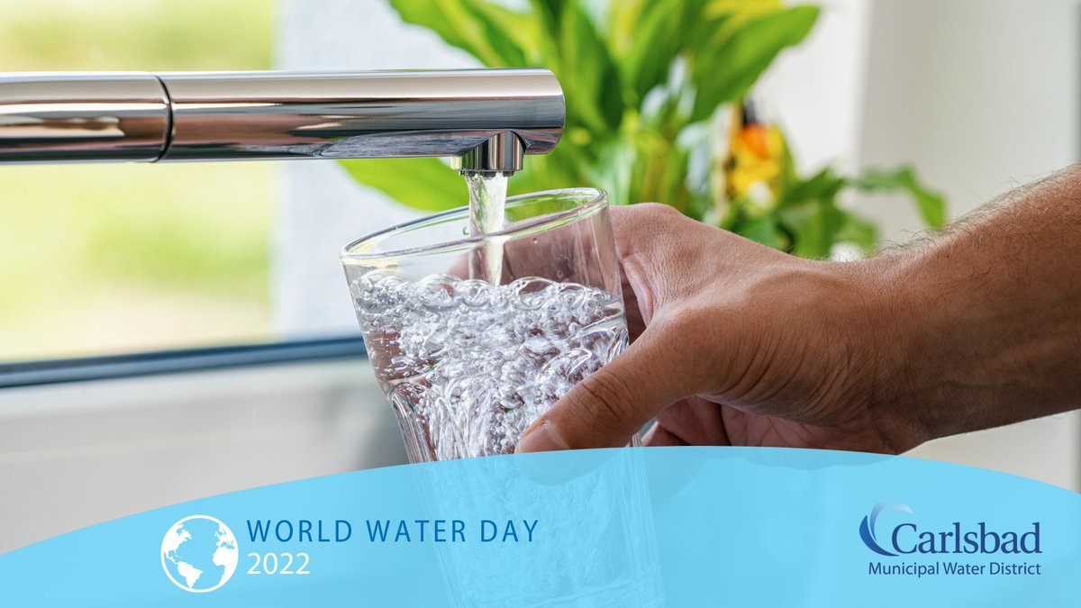 carlsbadcagov's tweet photo. Celebrate #WorldWaterDay🌎and #ValueofWater by saving water today and every day https://t.co/aSF1FIIITp
🌵Choose drought tolerant plants
🔧Fix leaks
👚🍽️Wash full loads
🚿Take short showers
🌧️🌱Keep irrigation on property and turn off for 48 hrs after rain
@sdcwa @CleanWaterSD https://t.co/tcFe0J50ES