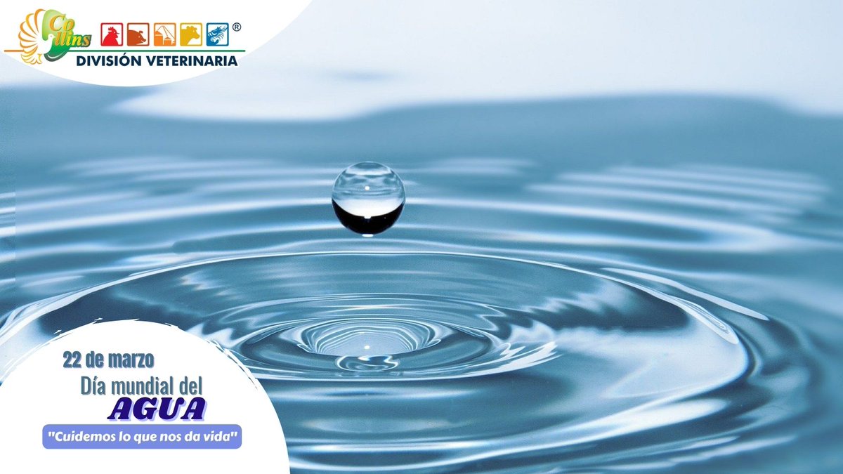 cdveterinaria's tweet photo. Hagamos conciencia de lo importante de cuidar este vital liquido. 22 de marzo día mundial del agua. ¡Cuídemos lo que  nos da vida! #DiaMundialdelAgua2022 https://t.co/R5sLvuijEz