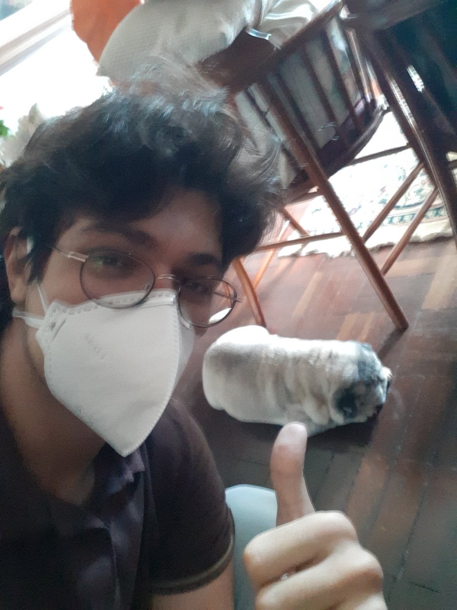zeropereira's tweet photo. Achei um pãozinho no chão... Opa, não é pão não, é o Budy! https://t.co/ThRpUX4nti