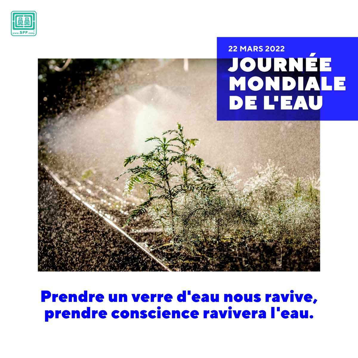 SPP Producteurs Paysans tweet media