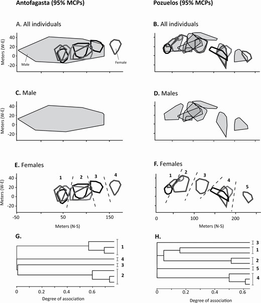 Mammalogists's tweet photo. Variable social organization among tuco-tucos in the opimus clade #ASMreads #mammals
https://t.co/ehapjLSW2z https://t.co/mNc1pKuHqD