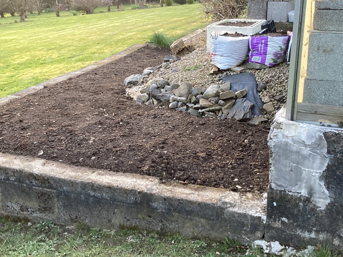 Potatoes and Onions set today