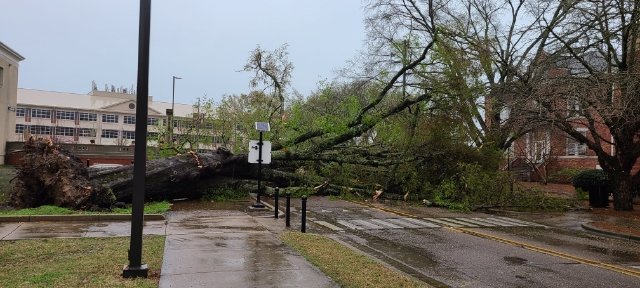 msstatepd's tweet image. We have storm damage on campus with down power lines.  Avoid the area of Hardy Rd. near Lee.