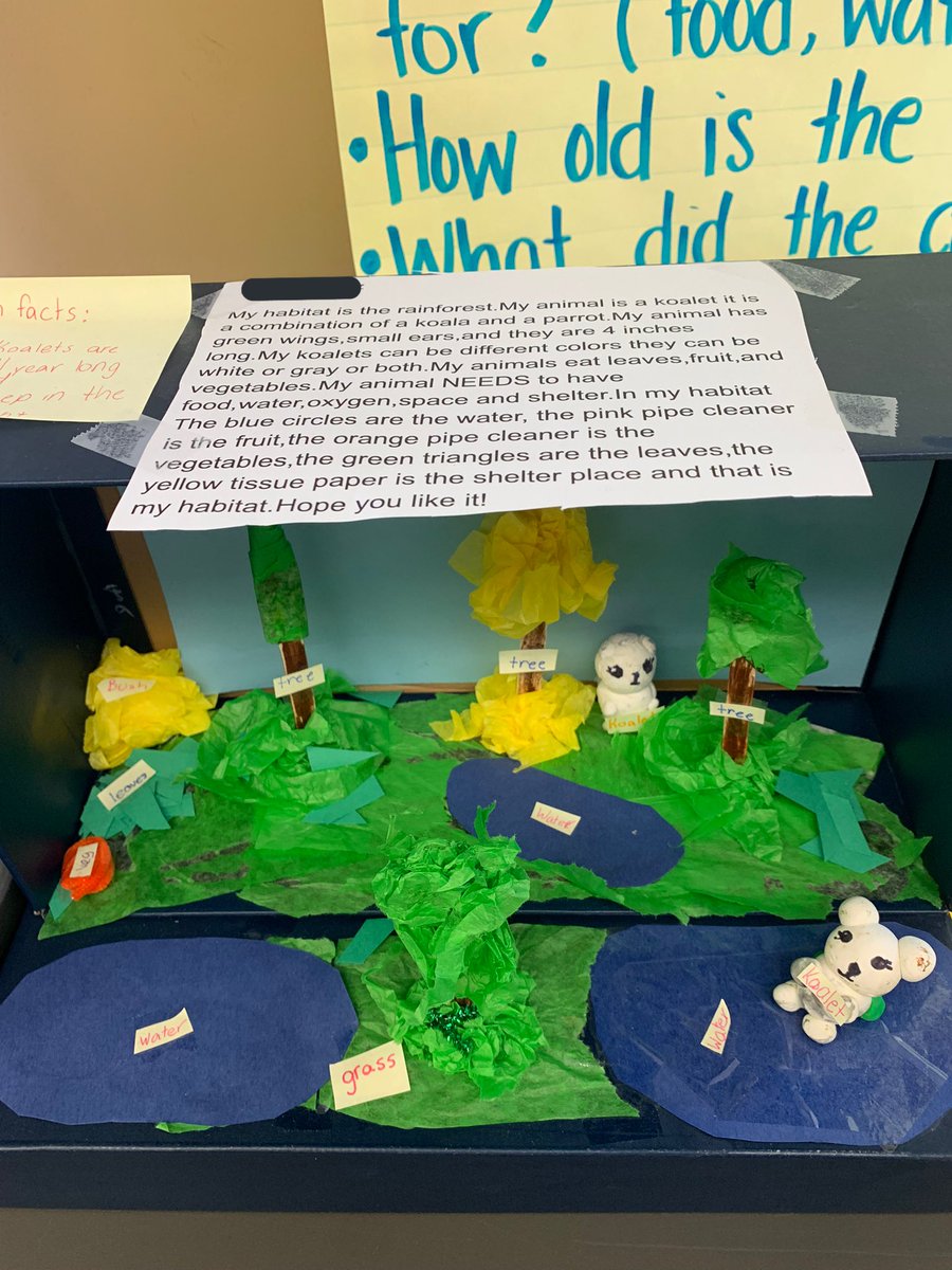 Ms. DiRico tweet media