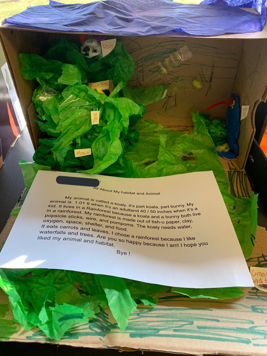 Ms. DiRico tweet media