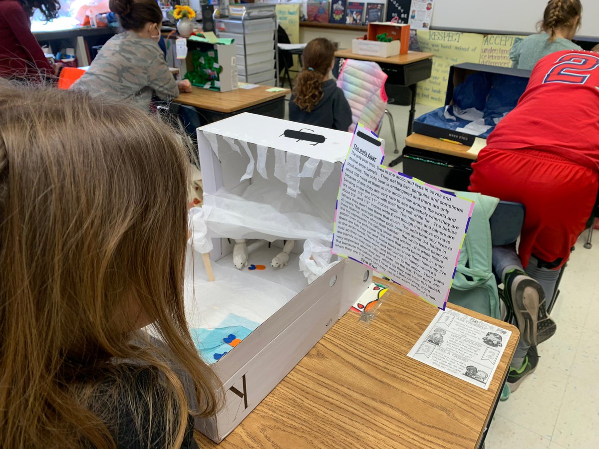 Ms. DiRico tweet media