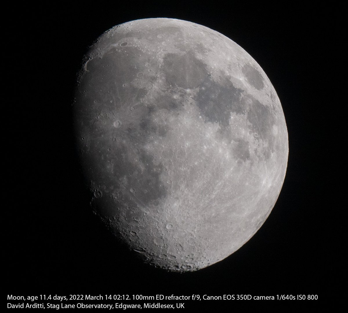 David Arditti tweet media