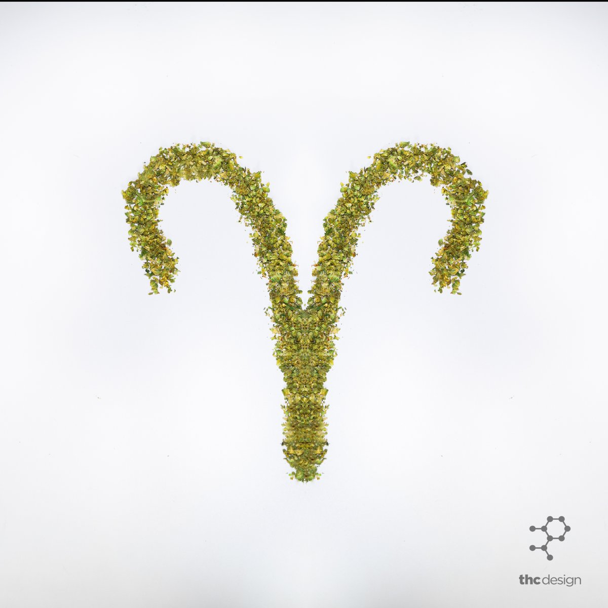 _THCDesign's tweet image. Aries are thought to be full of energy, confident and courageous but can also be impulsive and impatient at times. We recommend Marshmallow OG, an Indica-dom cross of (Chem D x Triangle Kush) x Jet Fuel Gelato for your favorite Aries. #Aries #THCDesign