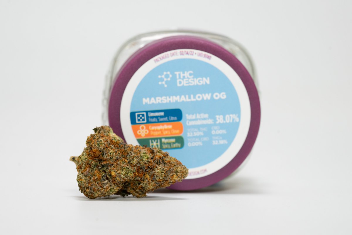 _THCDesign's tweet image. Aries are thought to be full of energy, confident and courageous but can also be impulsive and impatient at times. We recommend Marshmallow OG, an Indica-dom cross of (Chem D x Triangle Kush) x Jet Fuel Gelato for your favorite Aries. #Aries #THCDesign
