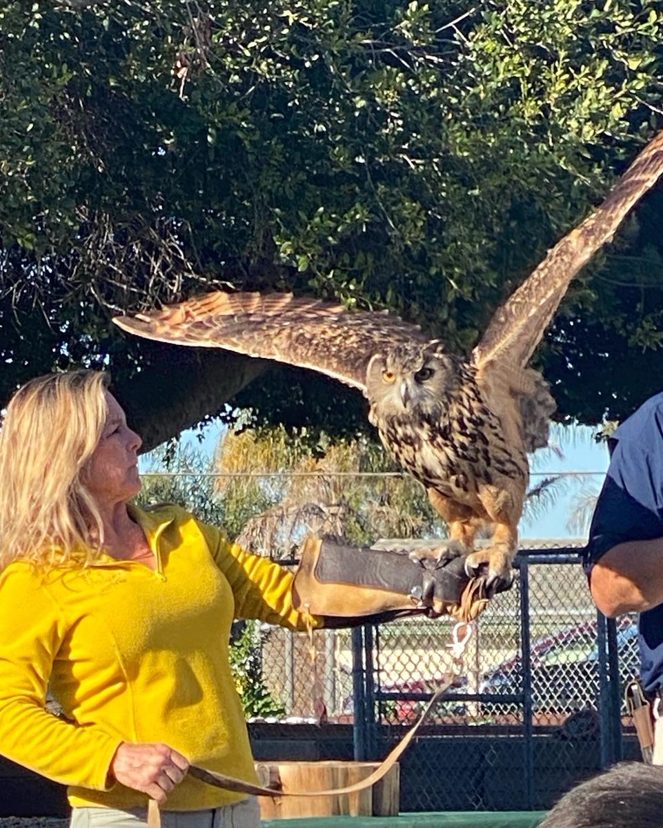GroverBeachElem's tweet photo. Thank you so much to @zootoyouanimals for coming and teaching our students today! We were amazed and encouraged to take action to help the planet and animals around us! #IBaction https://t.co/JcdA8c6OTw
