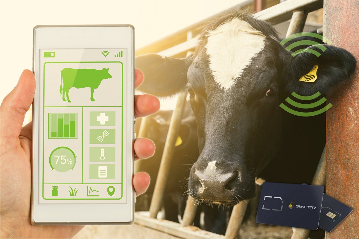 simetry1's tweet photo. SIMETRY IoT SIM solutions make it easy for you to monitor even the hardest to track data. Even animals!
https://t.co/q3SUPlCuM6

#IoT #Iotworld #IoTdevices #IoTdata #IoTprovider #dataonly #agriculturebusiness #agtech #agriculturetechnology #devicemanagement #IoTlife #IoTnews https://t.co/KwmJ75VbuJ