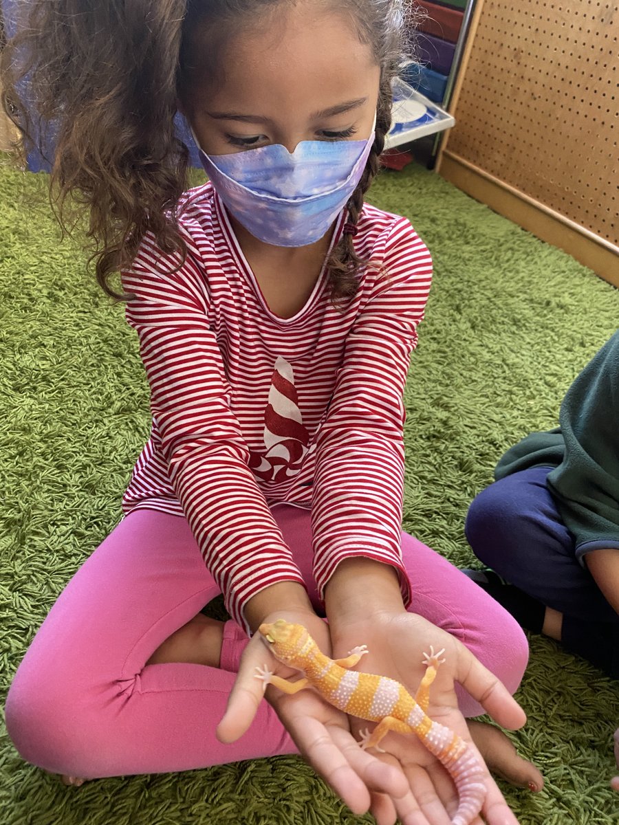 Meet our new friend Buttercup! We’re told she “feels kind of like a frog” and “you have to be quiet around her because loud noises can be scary.” And also “she might play on the structure.” Could happen! We’re welcoming new human friends too, contact our office.

#LAmoms #LAdads