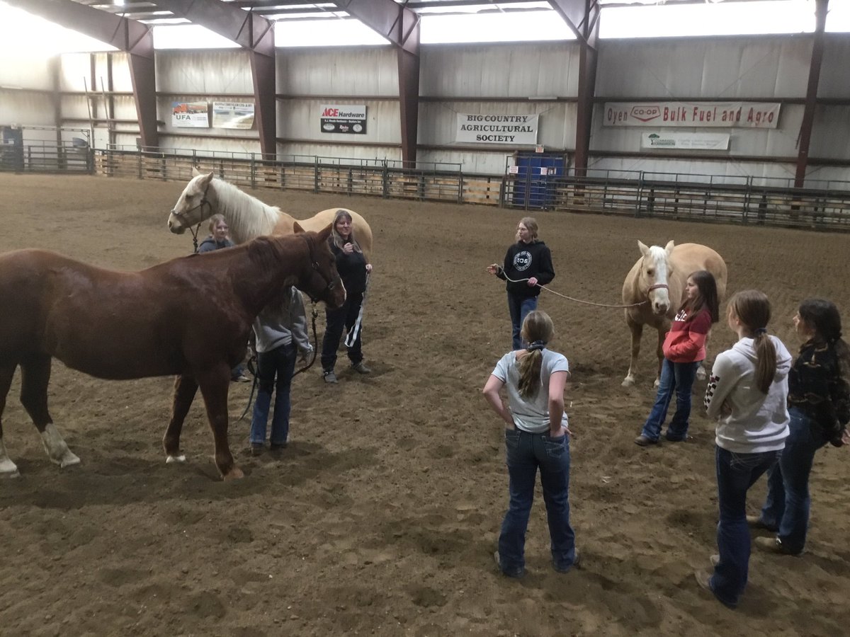 MrsKannekens's tweet photo. #PrairieRosePossibilities @PrairieRoseSD8 in action with REIN -Rodeo & Equine in the North with @LFW4 Live from Oyen, Alberta https://t.co/ezB6CSYMPh
