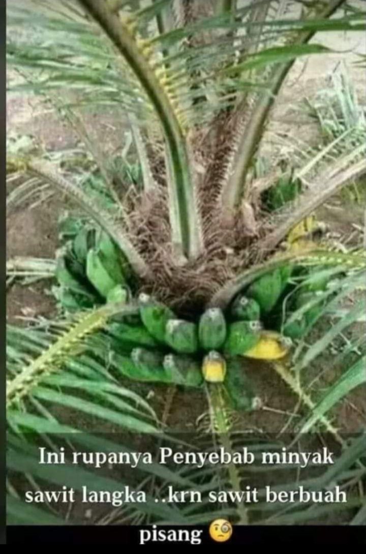 Salam NKRI
