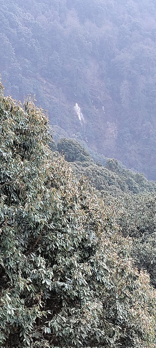 Nidhigpl's tweet photo. Can anyone guess what it is ? 

#mountains
#mountainscape #NaturalBeauty #nature https://t.co/guPPMpLjRW