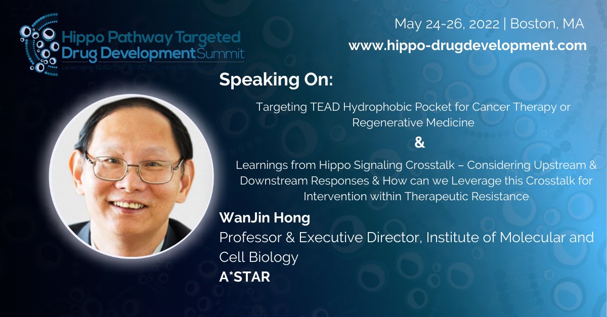 WanjinH's tweet photo. An exciting meeting on targeting Hippo pathway is coming. See at https://t.co/fn5UV3Ucrn https://t.co/MlVEwaxoug