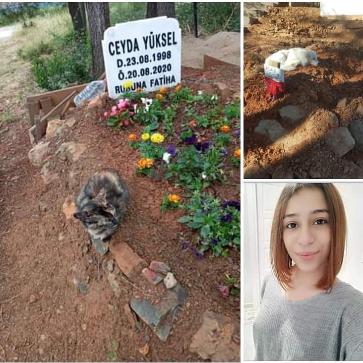 EvhamPerisi's tweet photo. Ceyda benim arkadasimdi, yanima gelecekti, Yunanistan’a gidecektik. Ablasiydim. 2 sene once Serkan Dindar adlı cani tarafindan bizden alindi. Katil hala savunuyor kendini. Ceyda’nin kolu kopmustu neredeyse. Ilk foto olay yeri. Yeni dava 22 Nisan’da Izmir Bayrakli Adliyesinde. https://t.co/jG7owx9jsn