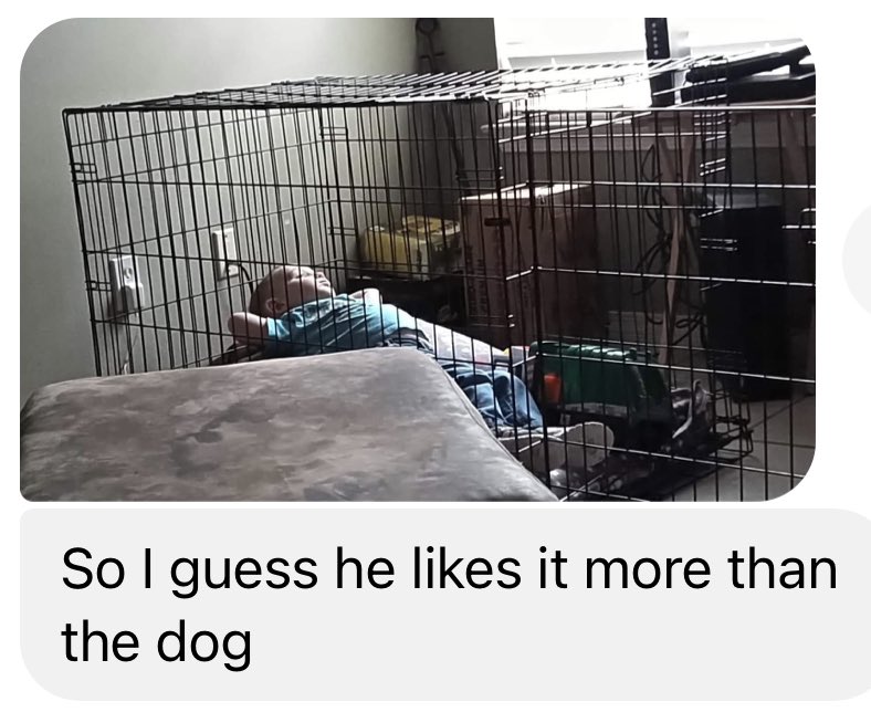 Furbaby Bean Beds LLC tweet media