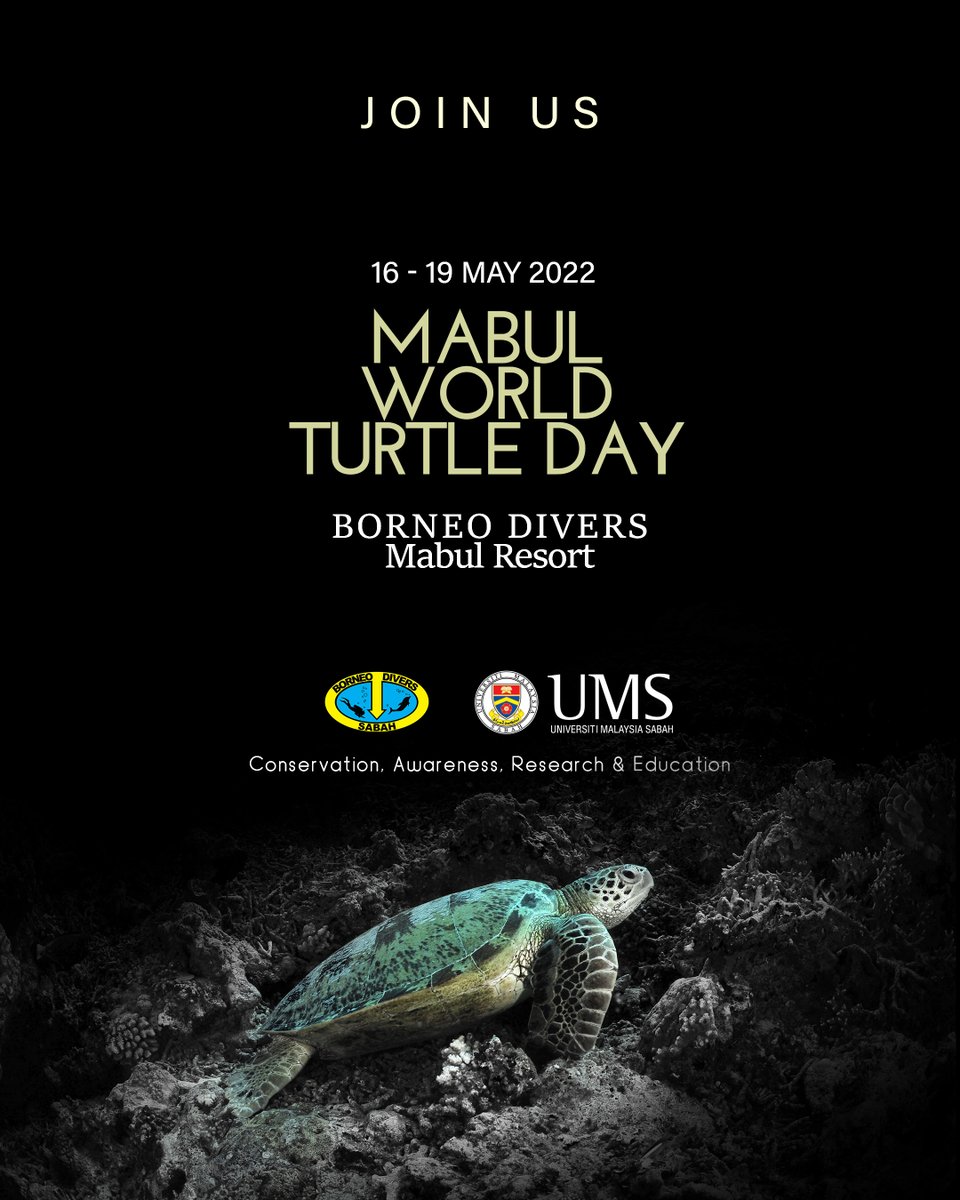 Borneo_Divers's tweet photo. 🐢Join us and celebrate Mabul World
Turtle Day🐢 coming up on 16 May 2022! https://t.co/pwd5HcgDkN
