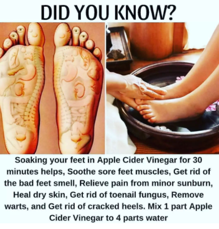 FolksHealthy's tweet photo. health and fitness tips, like &amp; share post, more health plan link in Bio @FolksHealthy 
 #healthandfitness #healthandwellness #healthyandhappy #healthandbeauty https://t.co/JdIwxbj5dB