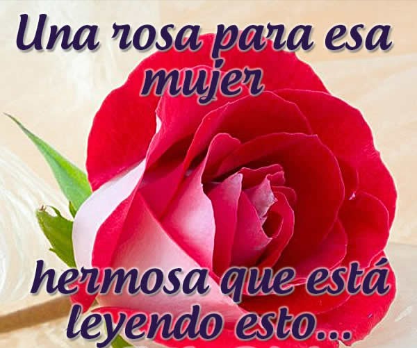 Hugo47390346's tweet photo. @irma_pintos https://t.co/ApXJGaFv44