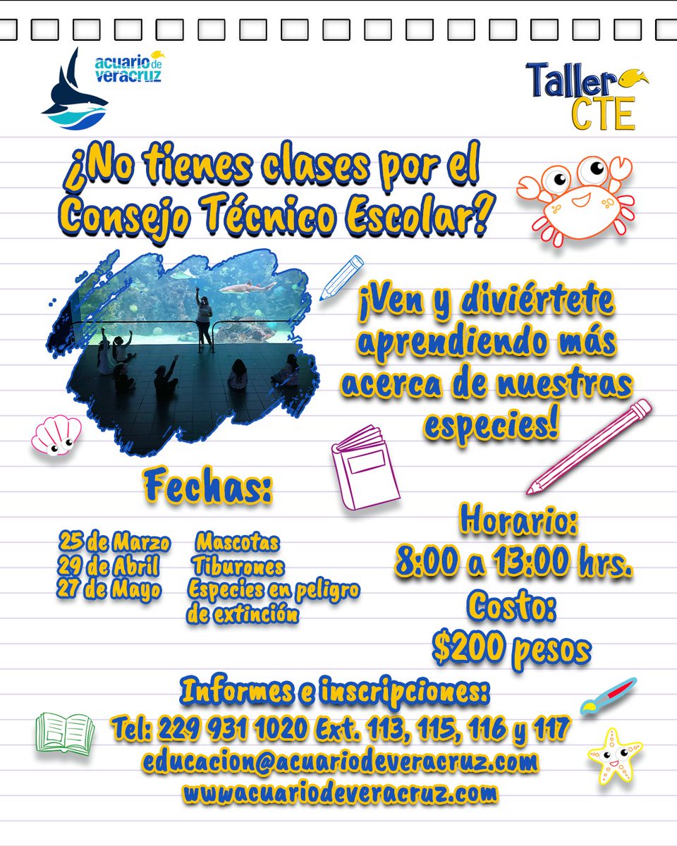 ¿Tu hijo no tiene clases por el Consejo Técnico?
¡Inscríbelo en nuestro Taller CTE!
- Aprenderá sobre especies marinas
- Realizará divertidas dinámicas de aprendizaje
- Convivirá con otros niños y… ¡Recorrerá el Acuario de Veracruz!