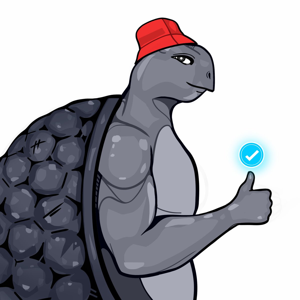 Shellz tweet media