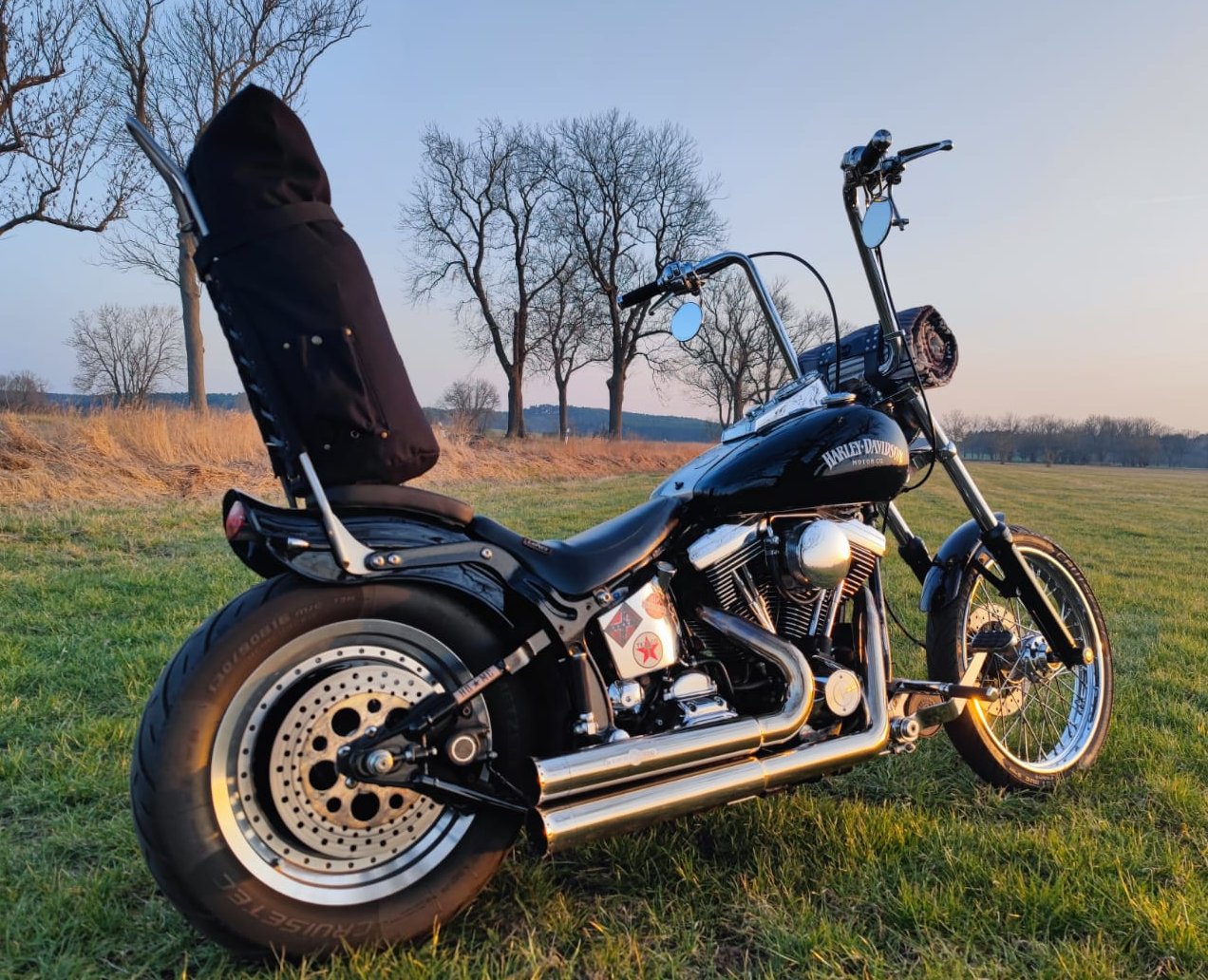 Vintage 2024 sissy bar