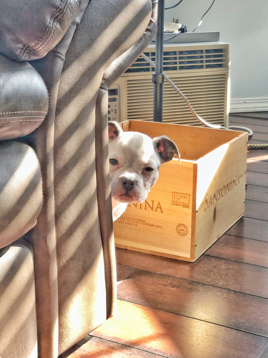 福利姬Wendy分享的黄推图片2 - 网红私拍内容