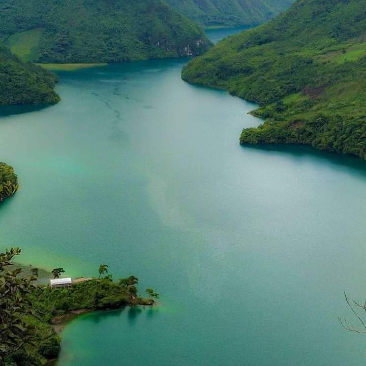 Nacidoen502🇬🇹 tweet media