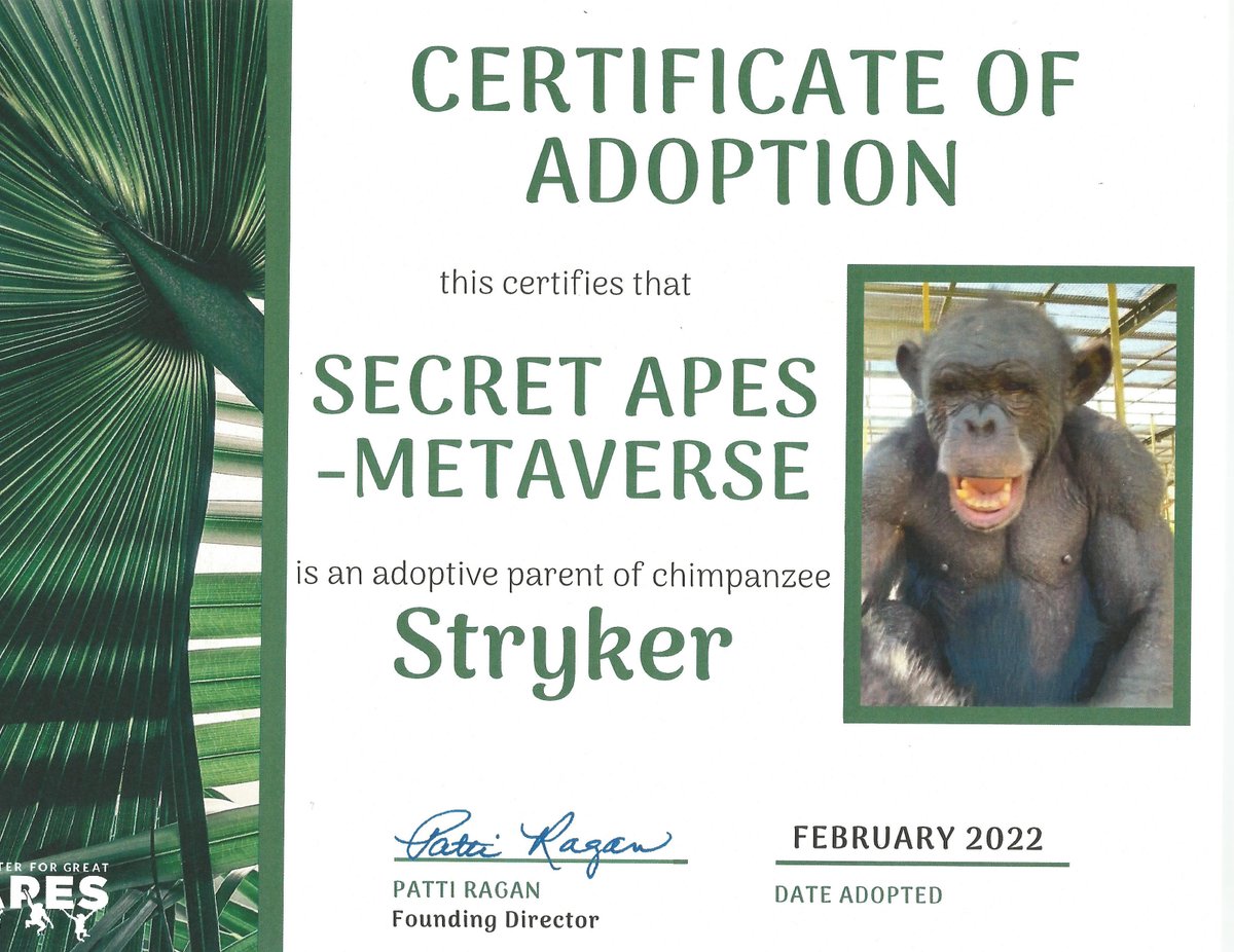 Secret Apes tweet media