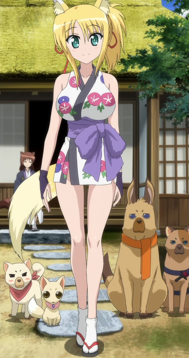 post animes on X: Anime: Dog Days  / X