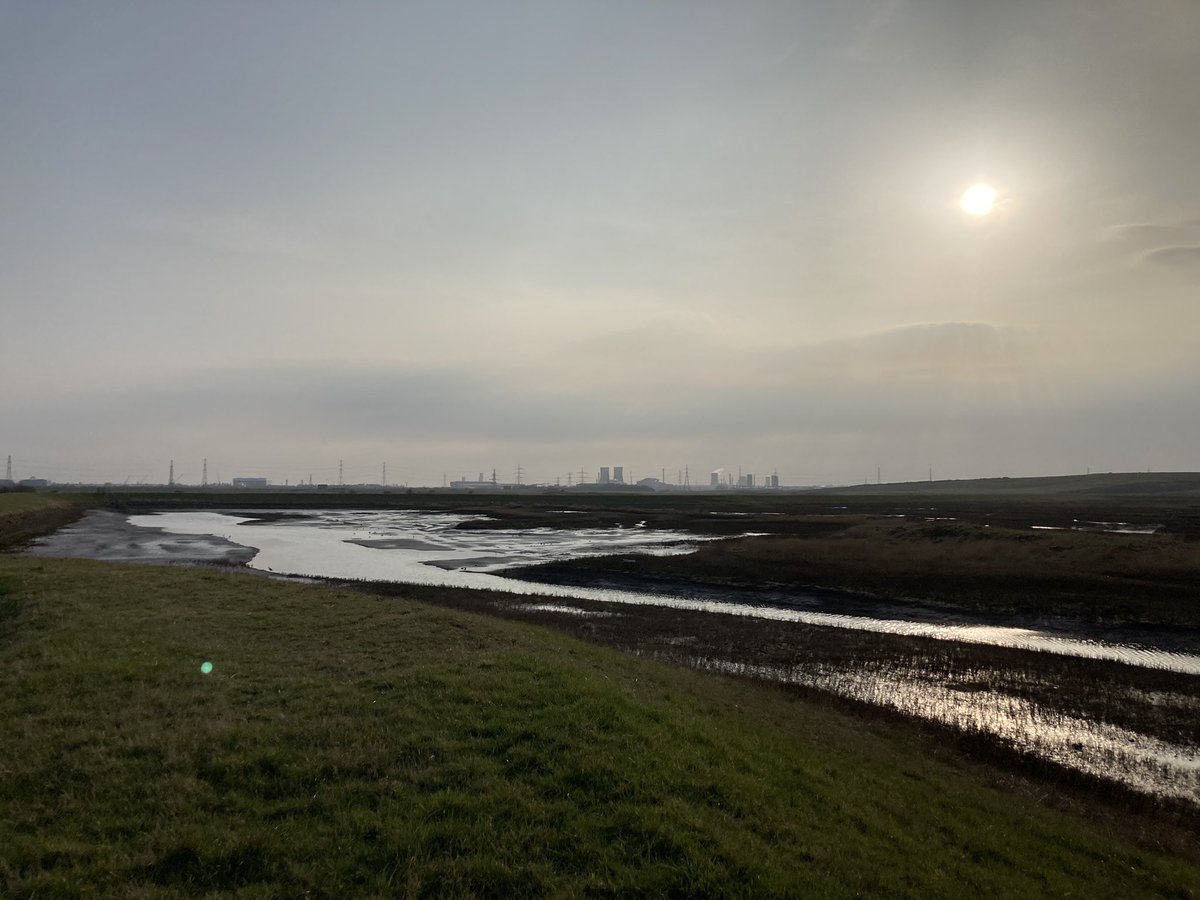 zahradaronville's tweet photo. Glorious Greatham South #managedrealignment in the spring sunshine today. Nature brings so many benefits 💙 #wellbeing #health #nature #carboncredit #biodiversity #naturebasedsolutions https://t.co/YjGeSR8rQe