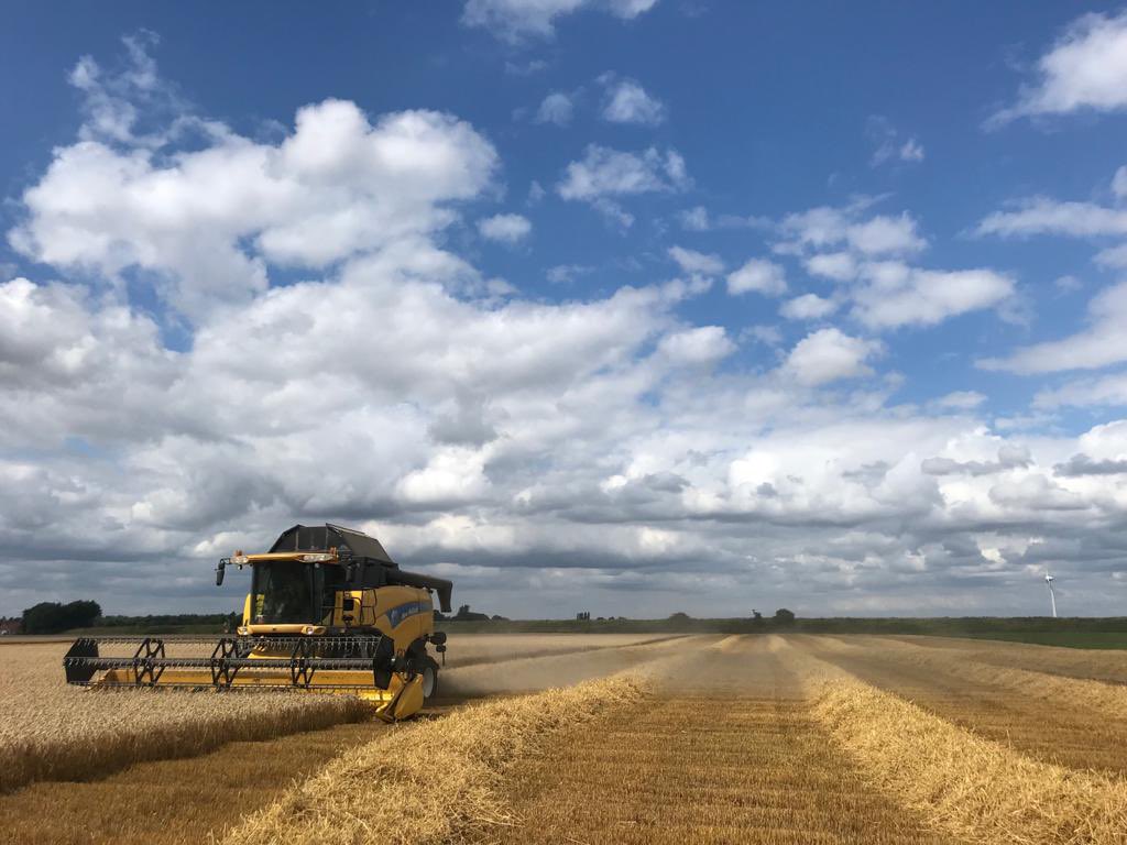 Fertiliser pricing: what it actually means for us farmers, and why it should matter to politicians too. A 🧵