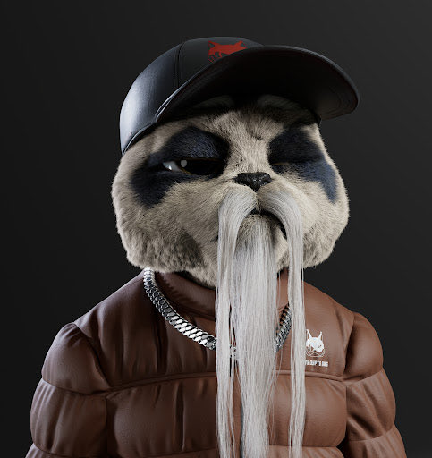 #NewNFTProfilePic NFT by KittyCryptoGangTeam