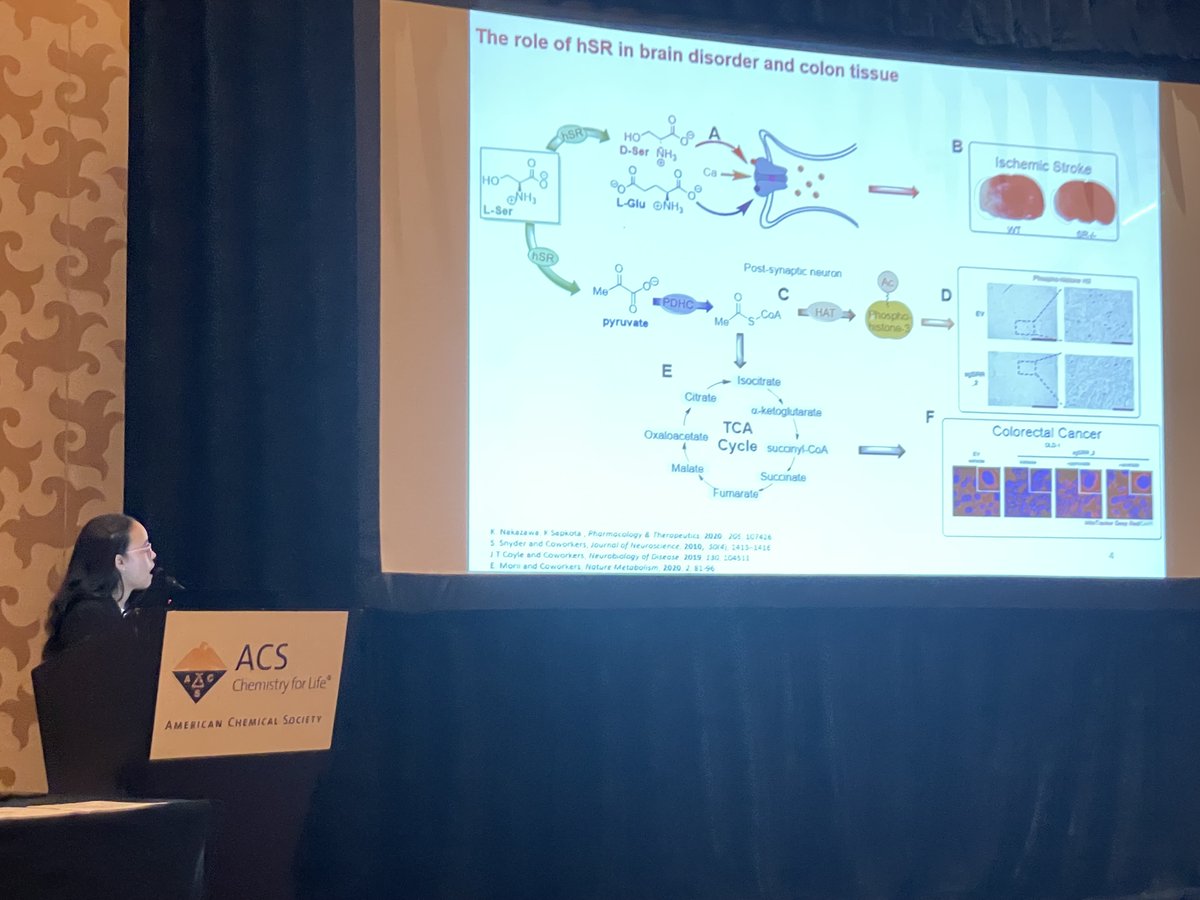 berkowitzgrp's tweet photo. Stephany @sramosdedios from @berkowitzgrp rockin' the @ACS_DivBioChem grad_res session today @ACS_San_Diego!  Latest results on hSR - Great team science with @DanielleGaynor4  @NiveshK65535399, j_hass &amp; mmorton @unlchemistry  @UNLresearch @unlcas   #ACSSpring2022 https://t.co/veVpPwswht