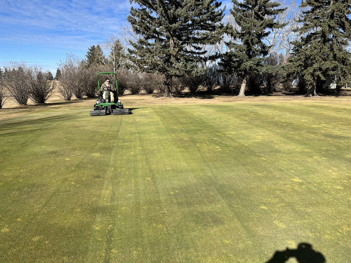 Clint Collier tweet media