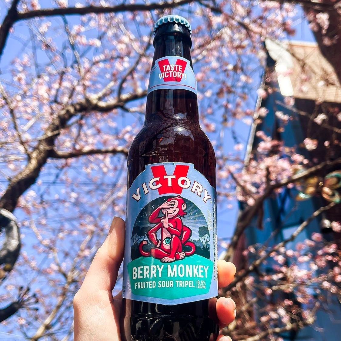 VictoryBeer's tweet photo. A Berry Monkey a day keeps the allergies away. That's how it works, right? 📷: @stonesphilly #TasteVictory #BerryMonkey #ItsMonkeyTime https://t.co/1Lk6CieewF