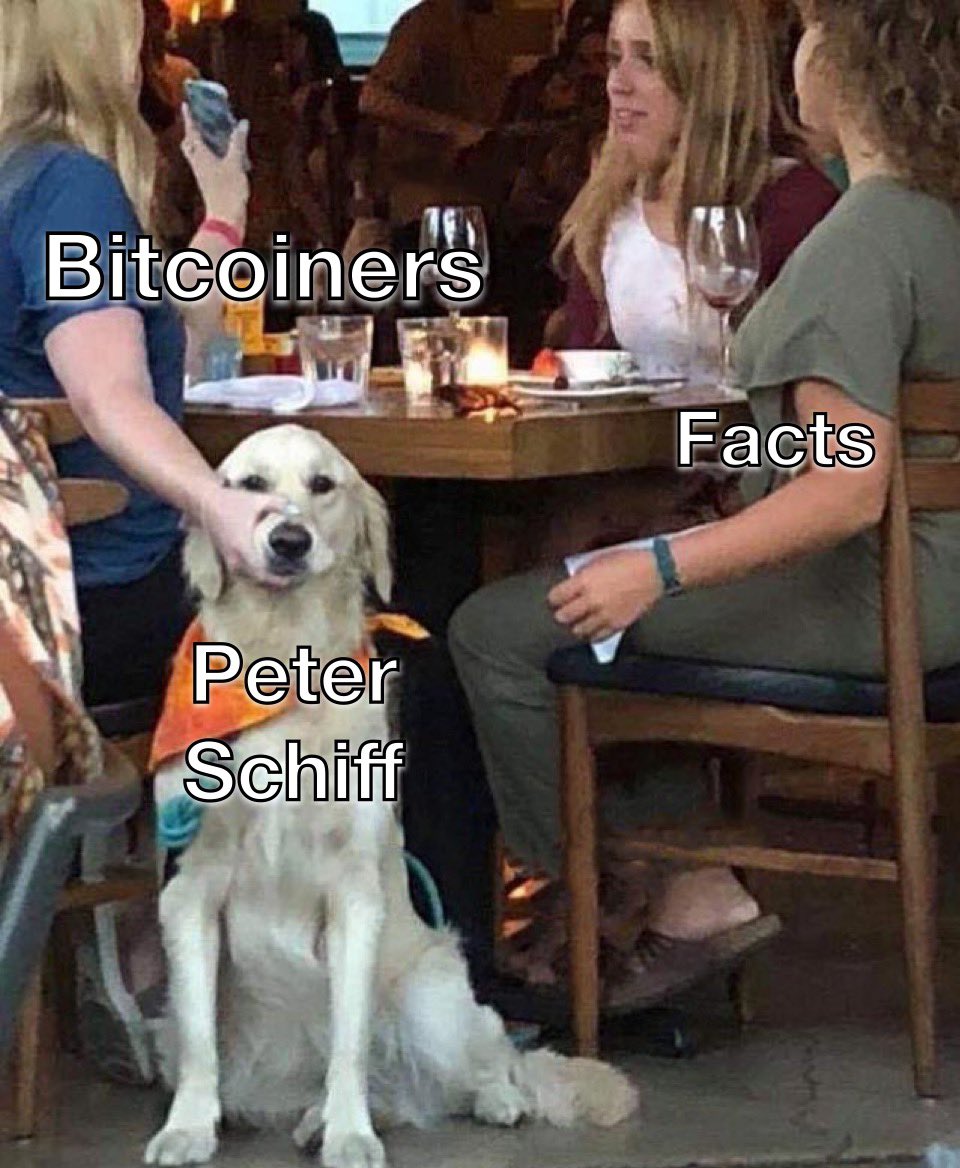DeepBlueCrypto's tweet photo. Sometimes you feel like totally shutting Peter Schiff up on his uneducated #Bitcoin comments 🤷‍♂️ https://t.co/s48mdG58KR