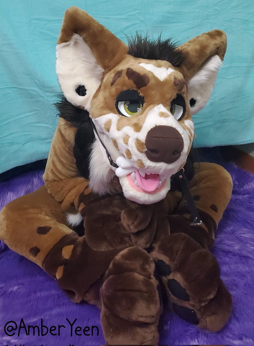 Puppy mode real quick when I get my bone 🦴

I can be a whiny yeen sometimes 🥺🐶

I get so smol while waiting for my next command 🐕‍🦺

#pup #bonegag #hyenapup #yeenpup