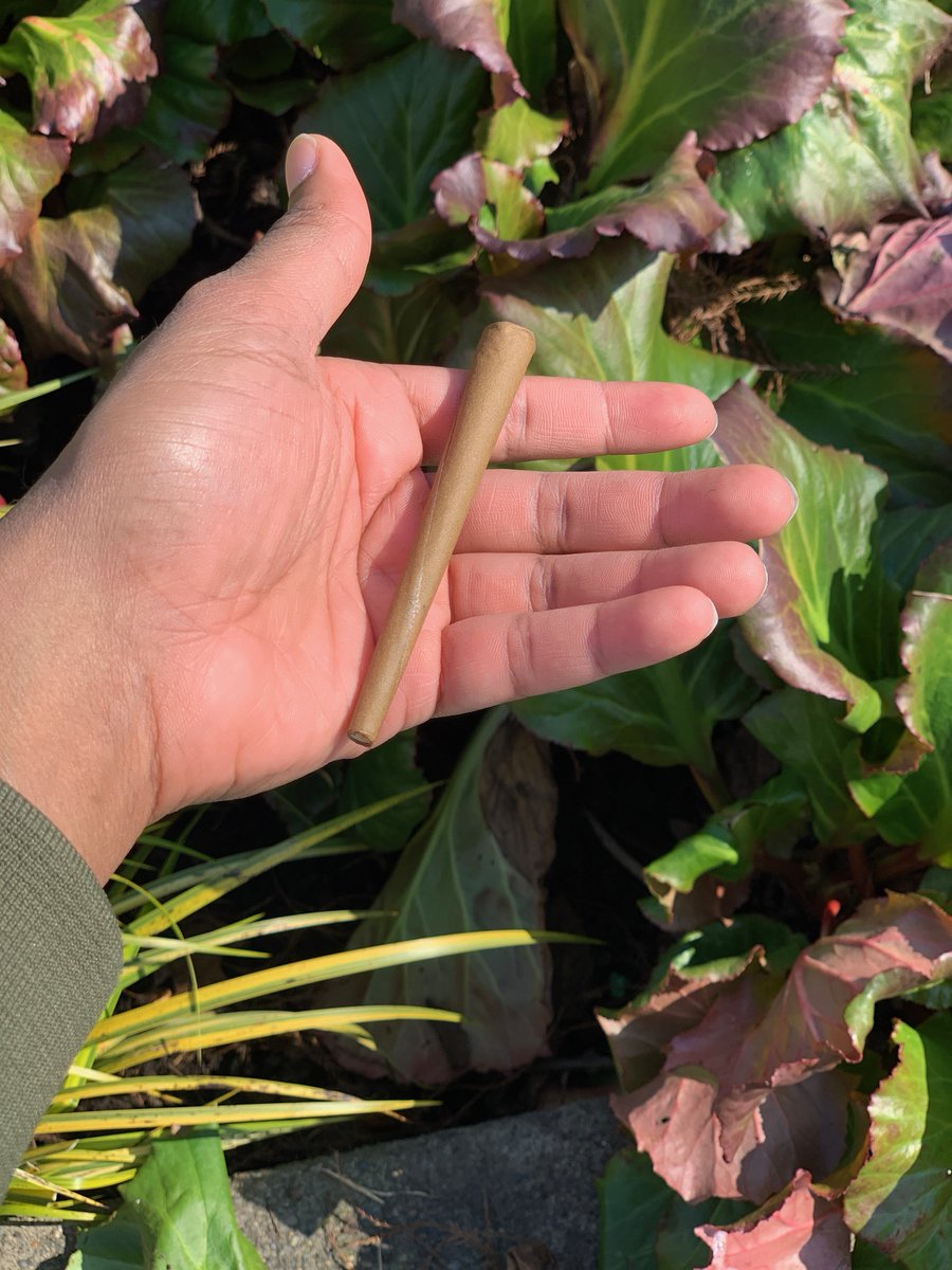 PotMatesPDX's tweet photo. We love all things green 💚 

#potmates #mmemberville #pdxcannabis #portland #delivery #service https://t.co/UNwFER0jfF