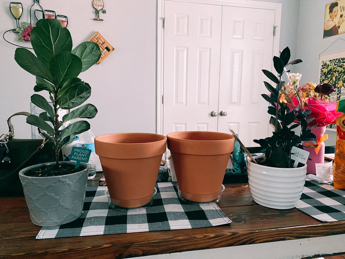 _shaliena's tweet photo. we love upgrading pots - low key should’ve done this like two months ago https://t.co/2exblTXMy1